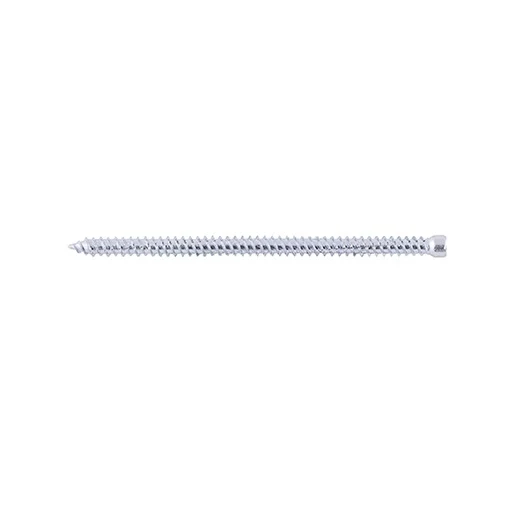 Vite muro testa cilindrica FFSZ 7,5×112 T30 – confezione da 100 pz.